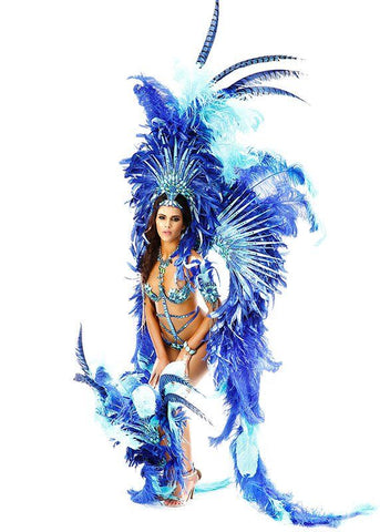 Shop - Carnival Costumes – Carnival Info Store