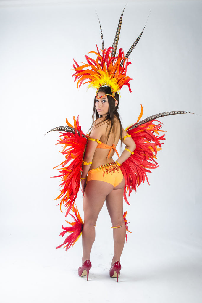 Phoenix Costume