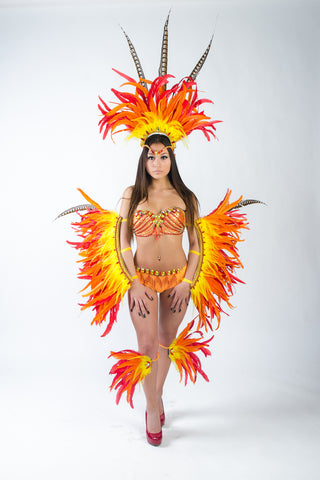 Phoenix Costume