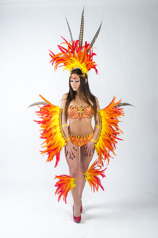 Phoenix Costume