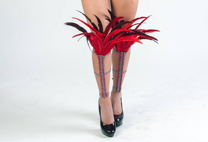 Feather leg bands