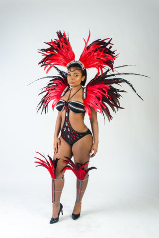 Trinidad Carnival Full Costume