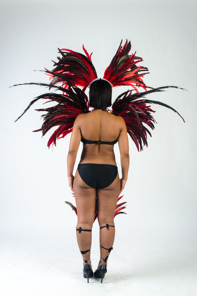 Trinidad Carnival Full Costume