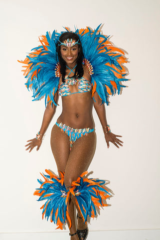 Blue bird two-piece carnival costume