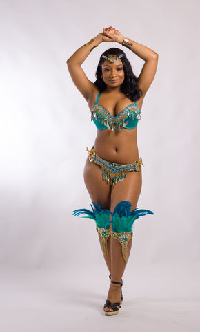 Top quality Handmade Samba Rio Carnival Costume With Stone Sexy