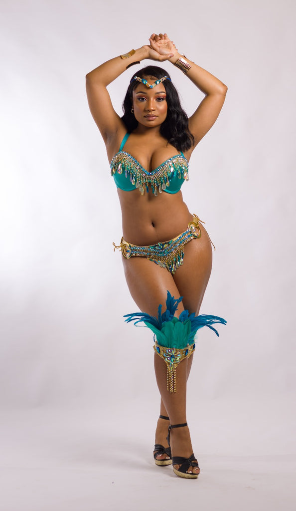 Belly Dancer Costume