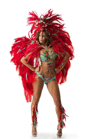 Red Tropical Bird Costume