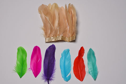 Duck Goose Feather Trim